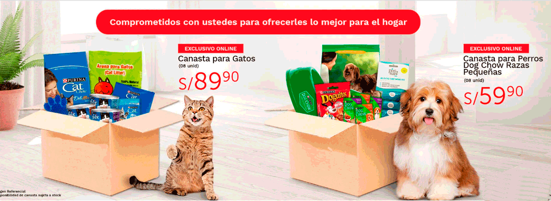 imagen3